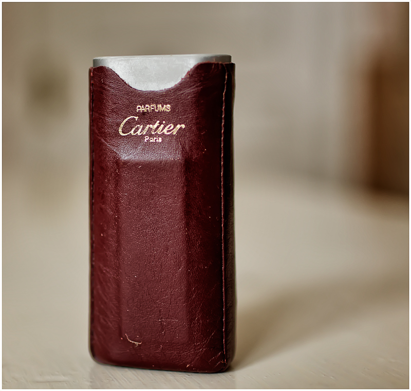 cartier_santos3.jpg